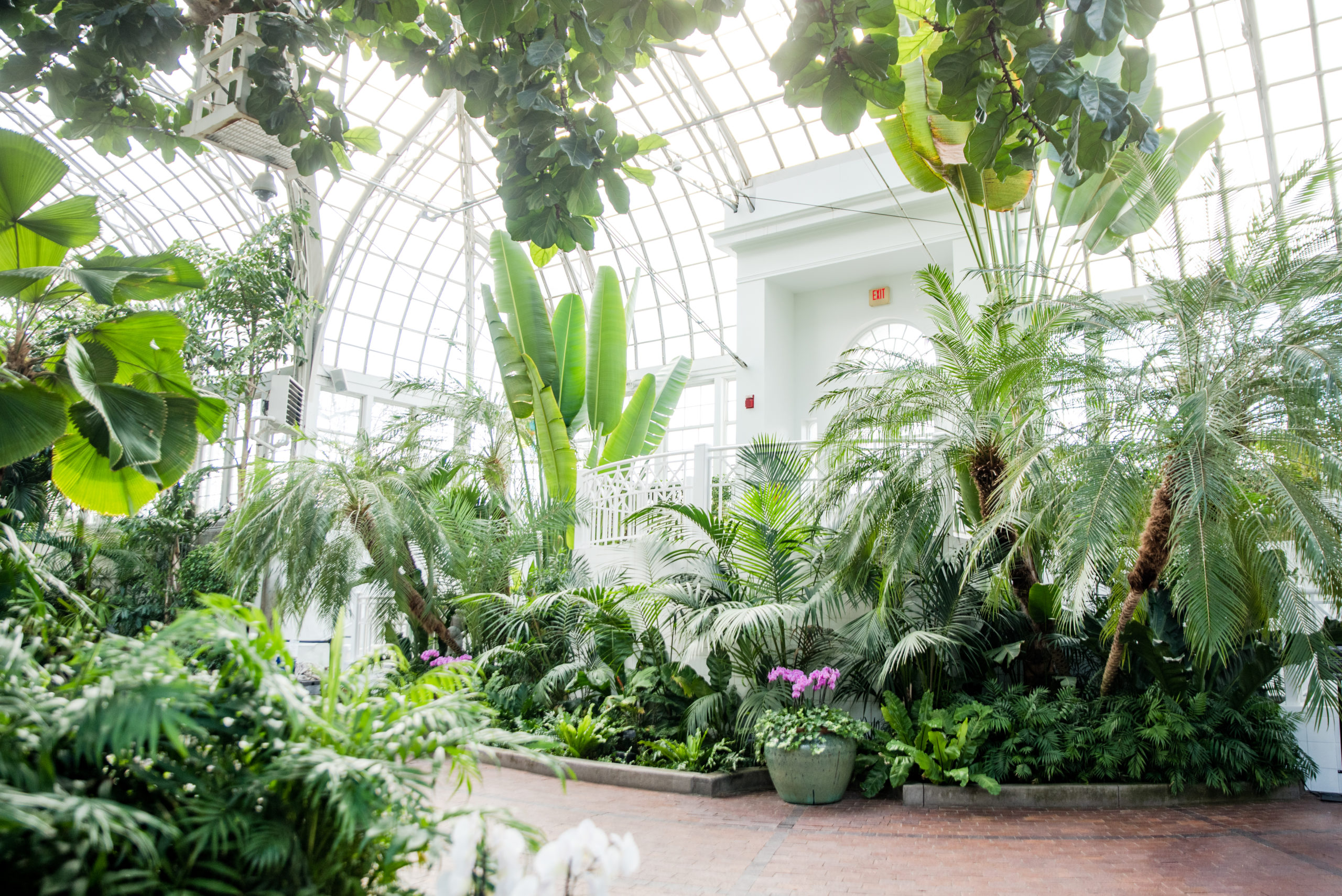 Franklin Park Conservatory Wedding Venues - Columbus, Ohio Wedding ...